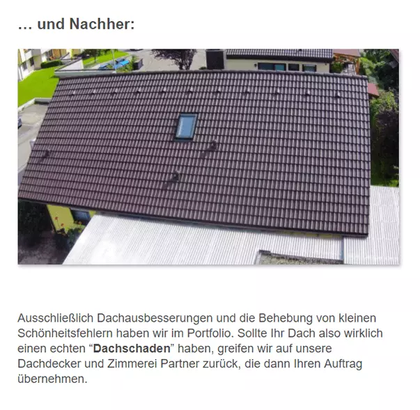 Dachdecker, Dacheindeckung Alternative 