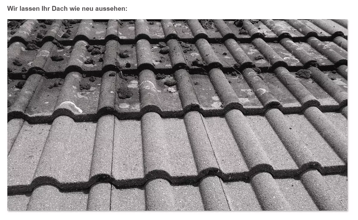 Dacherneuerung aus  Sigmaringen