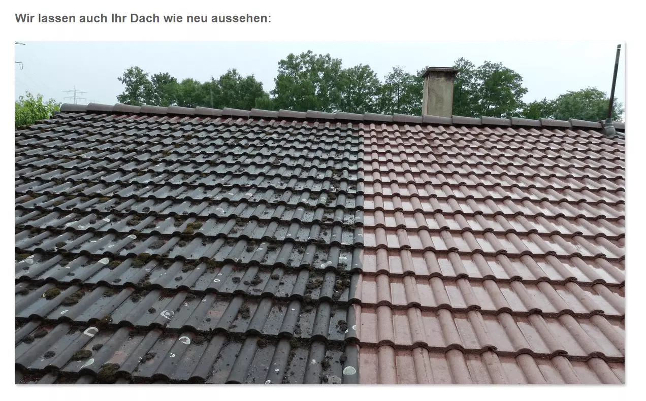 Dacherneuerungen, Dachneueindeckung aus  Wattenheim